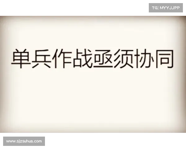 提升团队作战效率的关键策略掌握辅助光辉装备与协同作战技巧 提升团队作战效率的关键策略掌握辅助光辉装备与协同作战技巧