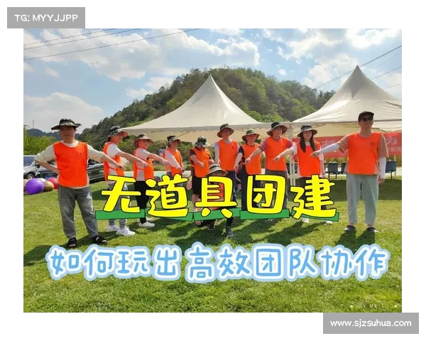 提升团队协作效果 掌握光辉装备辅助的最佳策略 提升团队协作效果 掌握光辉装备辅助的最佳策略