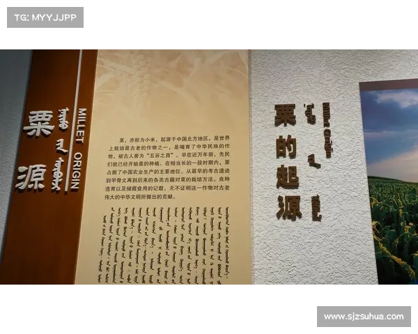 中国足球崛起之路何时实现从追赶到领跑亚洲强队的伟大跨越